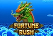 Fortune Rush