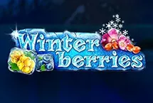 Winterberries